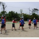 안룡초등학교 이미지