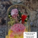 여수신기동우체국 이미지