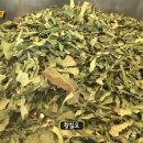 못난이호떡 이미지