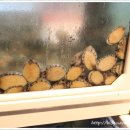 청운식당 네이버블로그