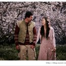 너는내운명 이미지