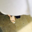 제이힐하우스 이미지