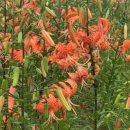 정원메디칼 이미지