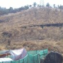 회성동102 이미지