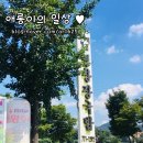 평창장국밥