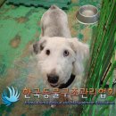 입석로 이미지