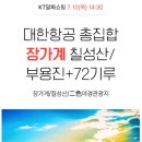 알파항공여행사