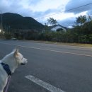 덕산계곡진입로 이미지