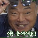 앙두 이미지
