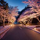 호텔 그랜드 이미지