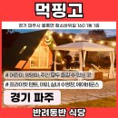 먹핑고 이미지