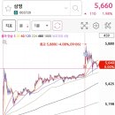 에이치엔인터내셔널
