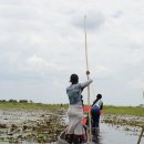 아프리카 7개국 종단 배낭여행 이야기(54)..Okavango Delta(3)..오까방고의 진면목은 동영상으로만 볼 수밖에 없다 이미지
