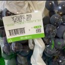 작전명 청춘