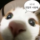 내게 맞는 알바 찾기 대여정 !!