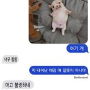 8月