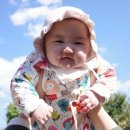 브라운피크닉 이미지