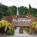 순례농장 이미지