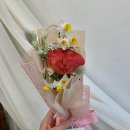 드플로페 이미지