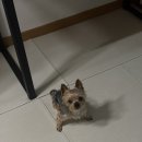 (주)한국클린산업 | 웰리페스티벌 in 나트랑여행, 그리고 나 자신과 잘 연애하기