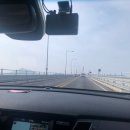 원팜 | 강화도 딸기체험 교동 원팜