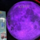 그놈포차거제 네이버블로그
