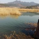 팔봉낚시터 네이버블로그