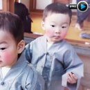 대한민국만세 Daum카페