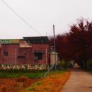 벌말농원 이미지