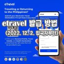 레베카여행사