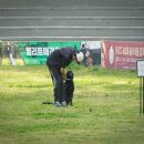 루카스독트레이닝 이미지