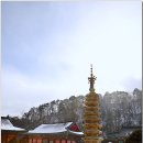 월정사 - 1011 | 월정사