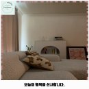 셀렉토커피울산우정사거리점 | 우정동 애견카페 성남옥탑방 가격 및 후기 추천 리뷰 주차 예약 알아볼까요