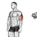 PT의 정석 운동재활센터 이미지