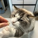 복대목욕탕 이미지