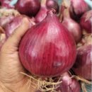 황토골1 이미지