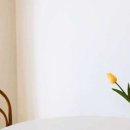 여전히 제주 이미지