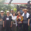 서삼릉길 이미지