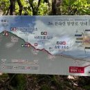 제주도 한라산 등산 코스 시간 제주 성판악 관음사 코스 백록담 이미지