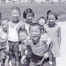 진달래먹고물장구치고 이미지