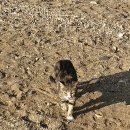 영흥주유소 이미지