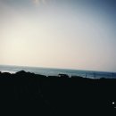 바다나무 민박 이미지