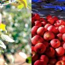 충주거점산지유통센터 이미지