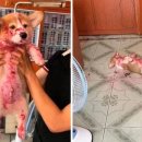 무브먼트 랩 이미지