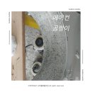 버블크린 이미지