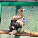 한국동물번식센타 이미지