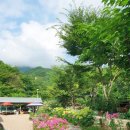 지리산자연애펜션 | 계곡이 있는 산청펜션 지리산자연애펜션에 휴가 가서 힐링한 후기