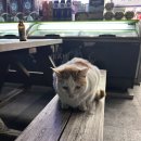 CU서구신평리점 이미지