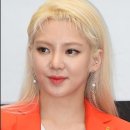 레드복싱 네이버블로그
