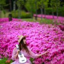 화랑마을 이미지